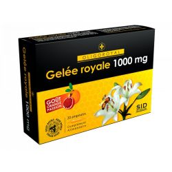 Sid Gelee Royale Magnésium 20 Ampoules