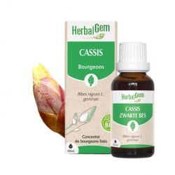 Herbalgem Cassis Macerat Bio Fl C-Gtt/30M