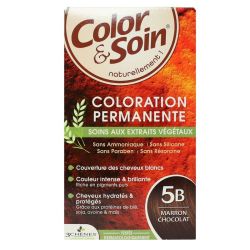 Les 3 Chenes Colorampsoin Marr Choco 5B
