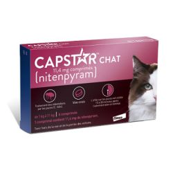 Capstar Chat Bte6