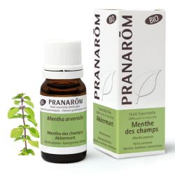 Pranarom HE Bio Menthe des champs 10 mL