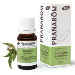 Pranarom HE Bio Eucalyptus globuleux 10 mL