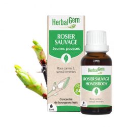 Herbalgem Rosier Macerat Bio Fl C-Gtt/30M
