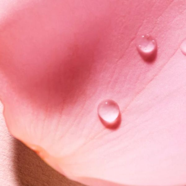 NUXE Very Rose Eau de Parfum 100mL