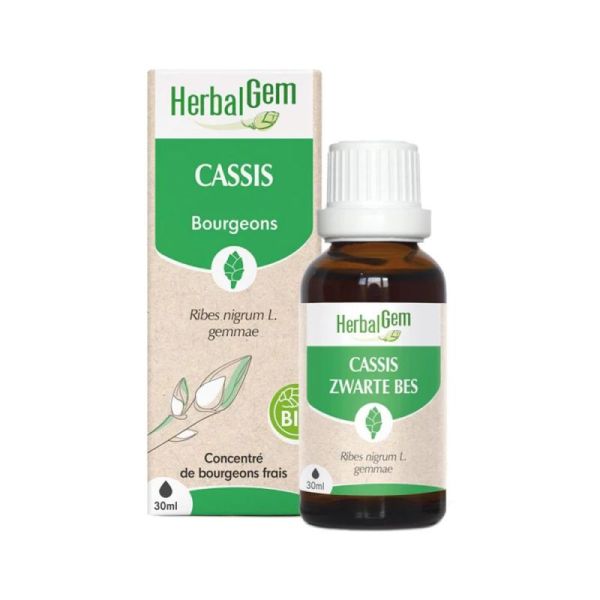 Herbalgem Cassis Macerat Bio Fl C-Gtt/30M