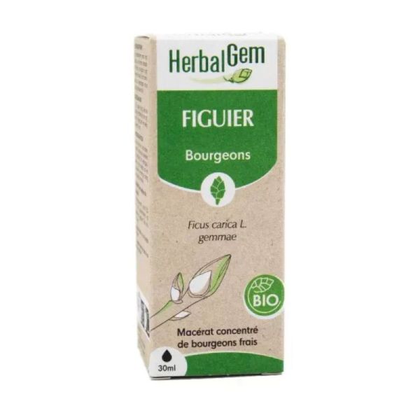 Herbalgem Figuier Macerat Bio Fl C-Gtt/30
